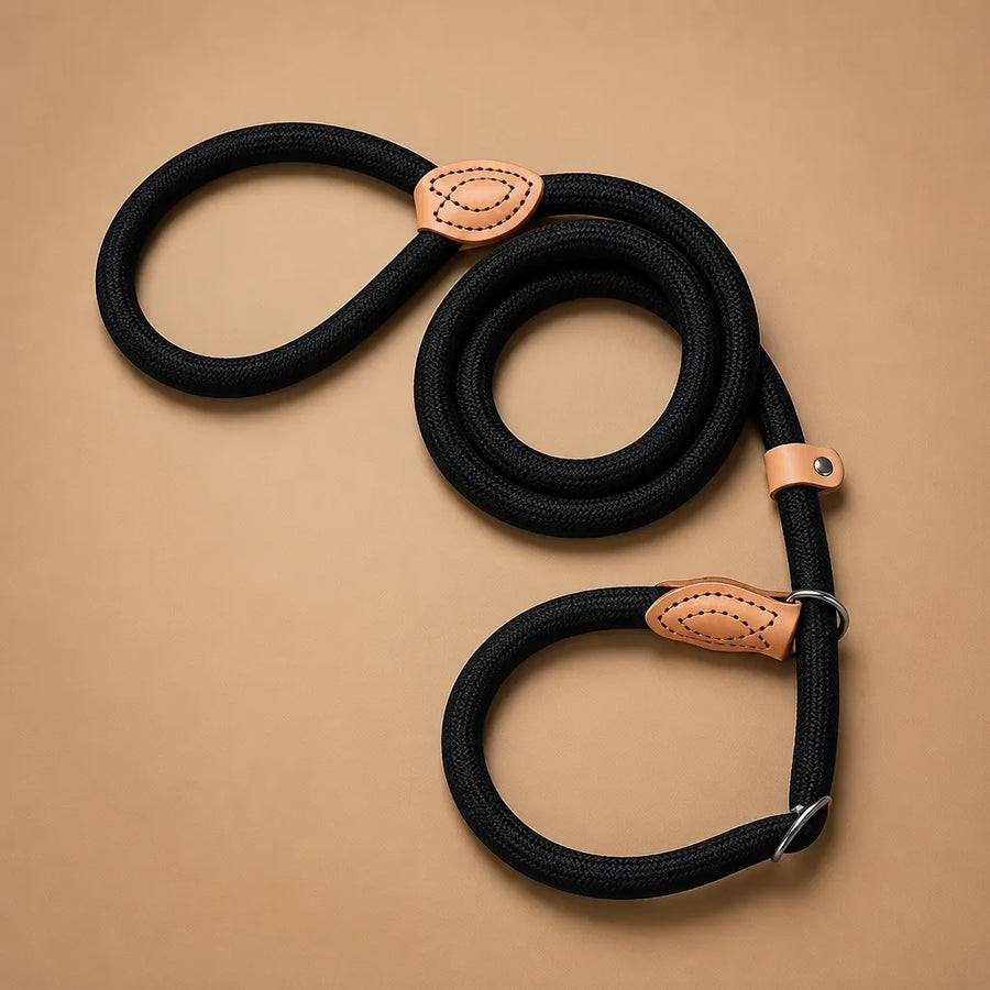 Laisse Chien Corde Tressée Réglable - Nylon Durable
