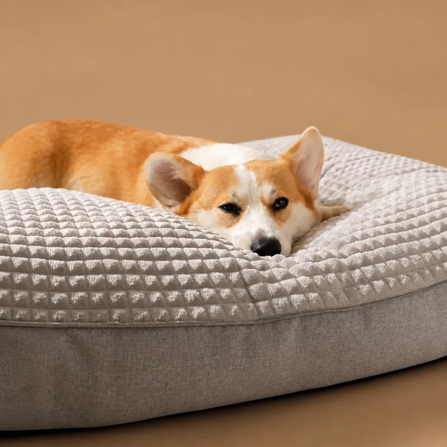 Pouf pour chien canapé luxe - Velours doux housse lavable