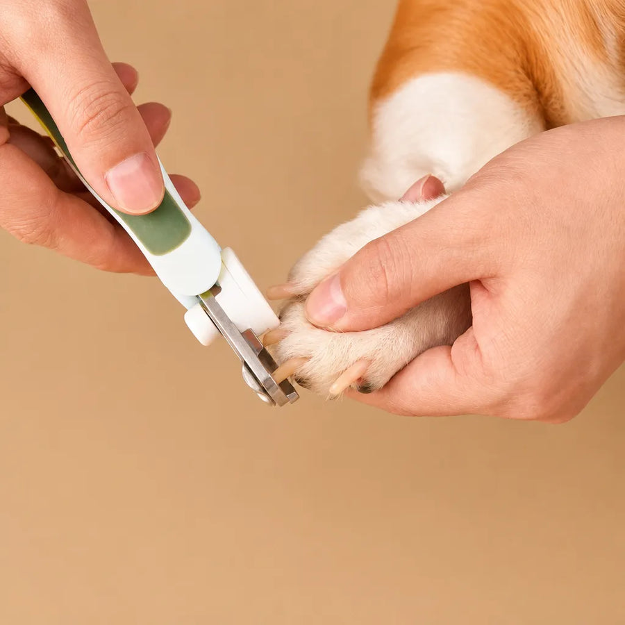 Coupe griffes chiens LED - Précis, sûr et facile à utiliser