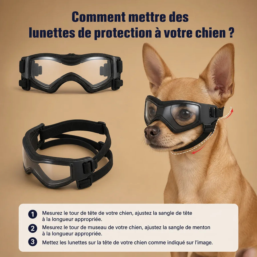 Lunette chien moto - Protection UV, vent et poussière