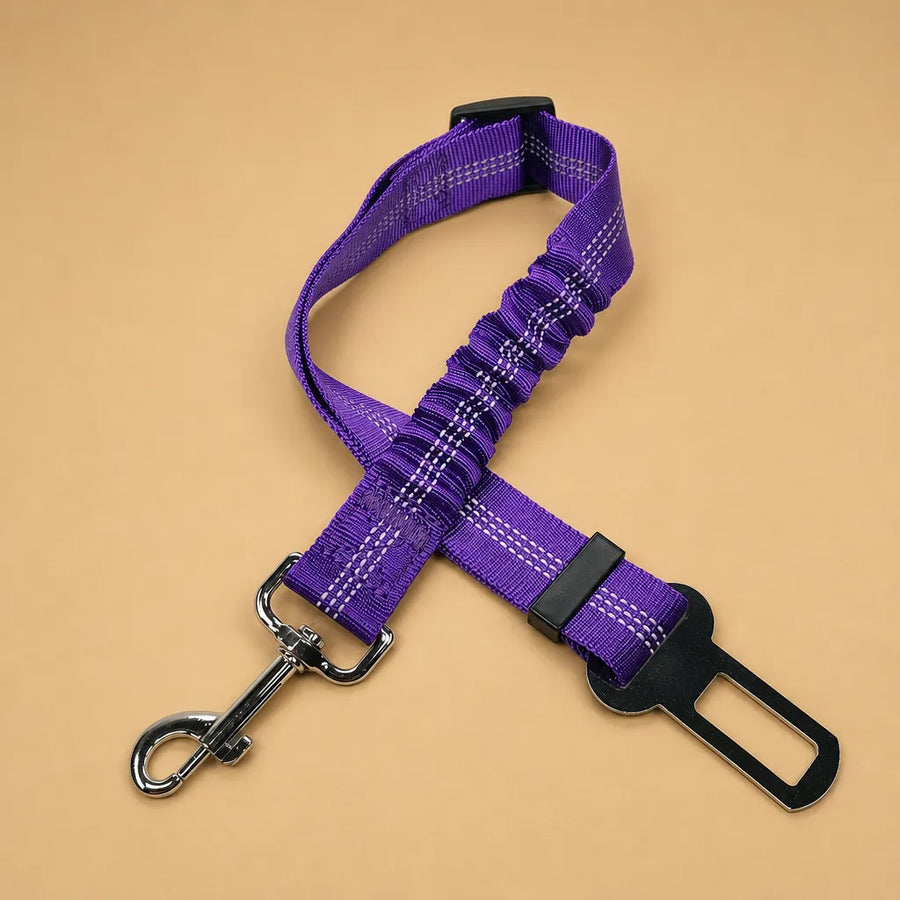 Ceinture de sécurité chien - Nylon réfléchissant réglable