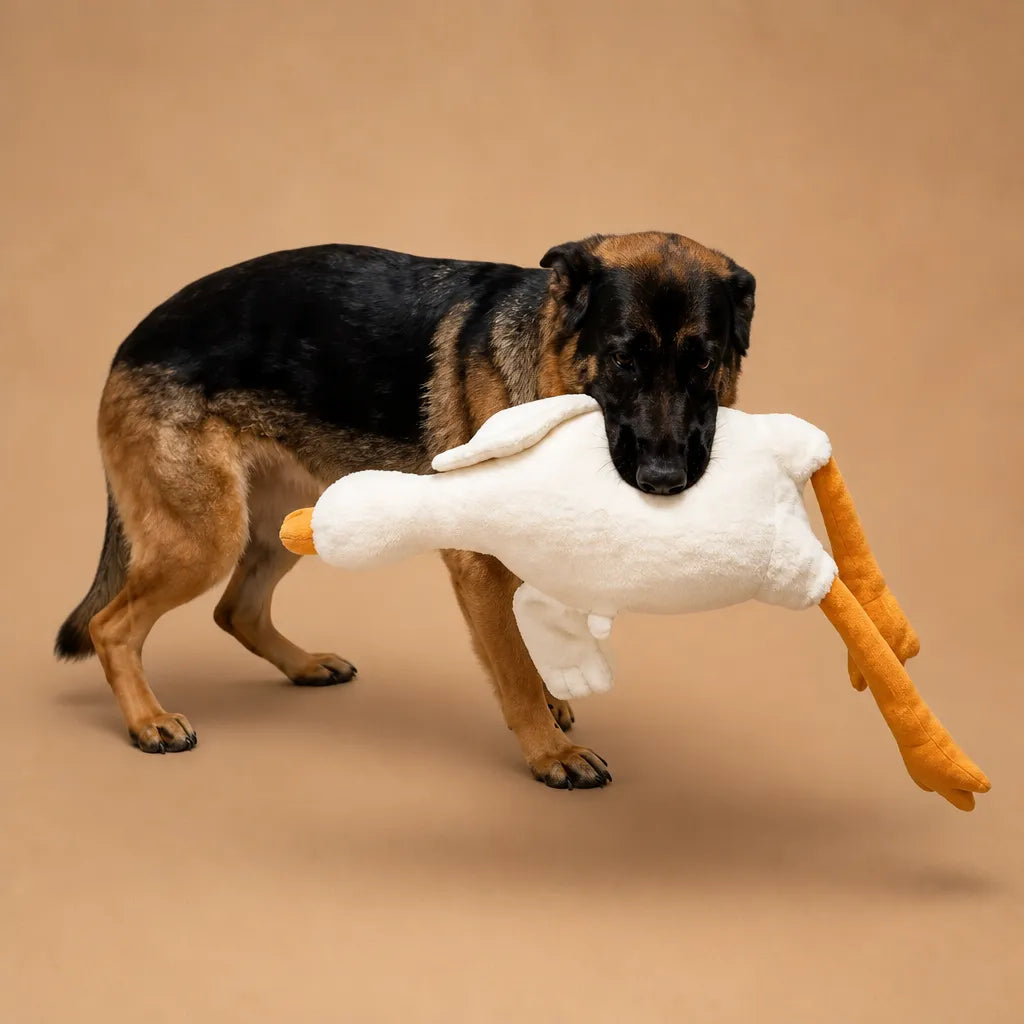 Jouet canard pour chien - Peluche douce et résistante à mâchouiller