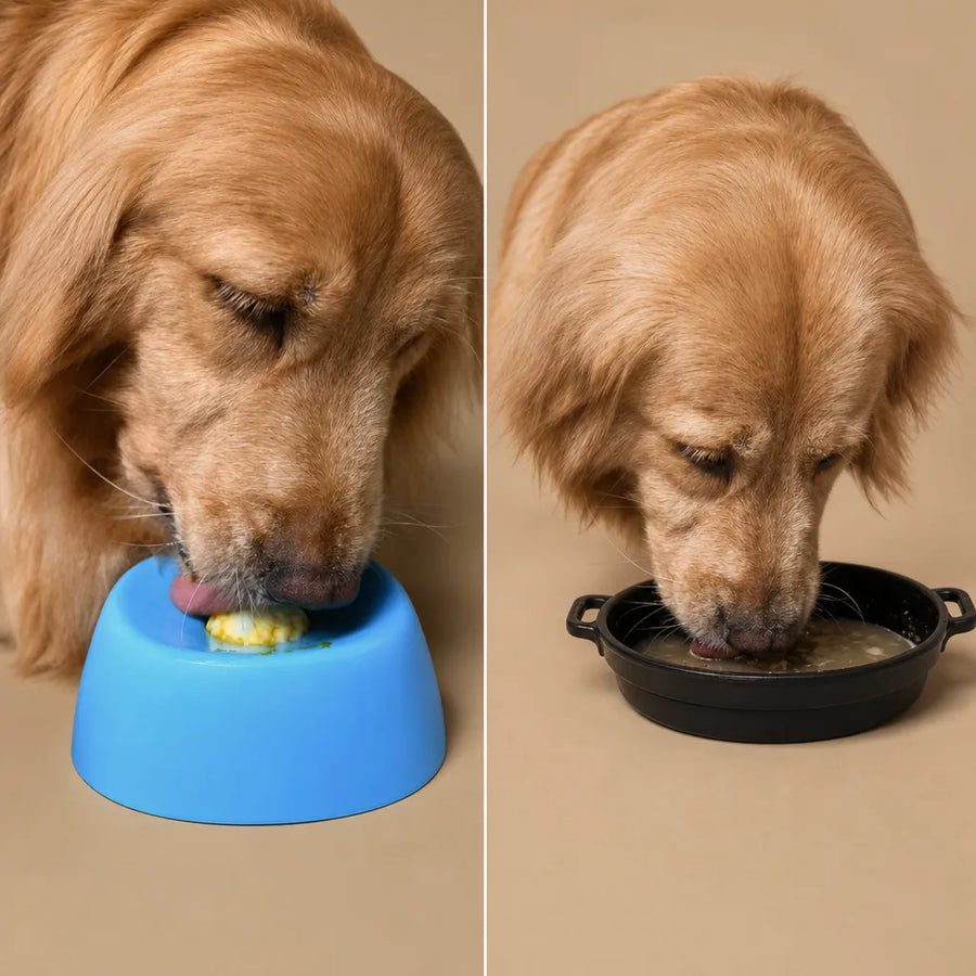 Bol à lécher chien balle rotative - Anti-étouffement lent