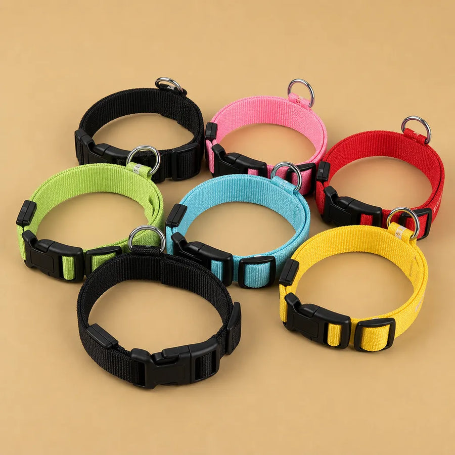 Collier chien lumineux - LED nylon 3 modes XS à XL