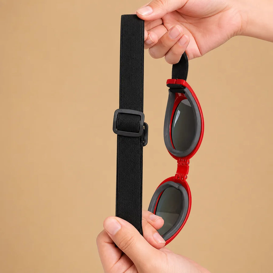 Lunette de soleil pour chien pliable - Double sangle 6 coloris