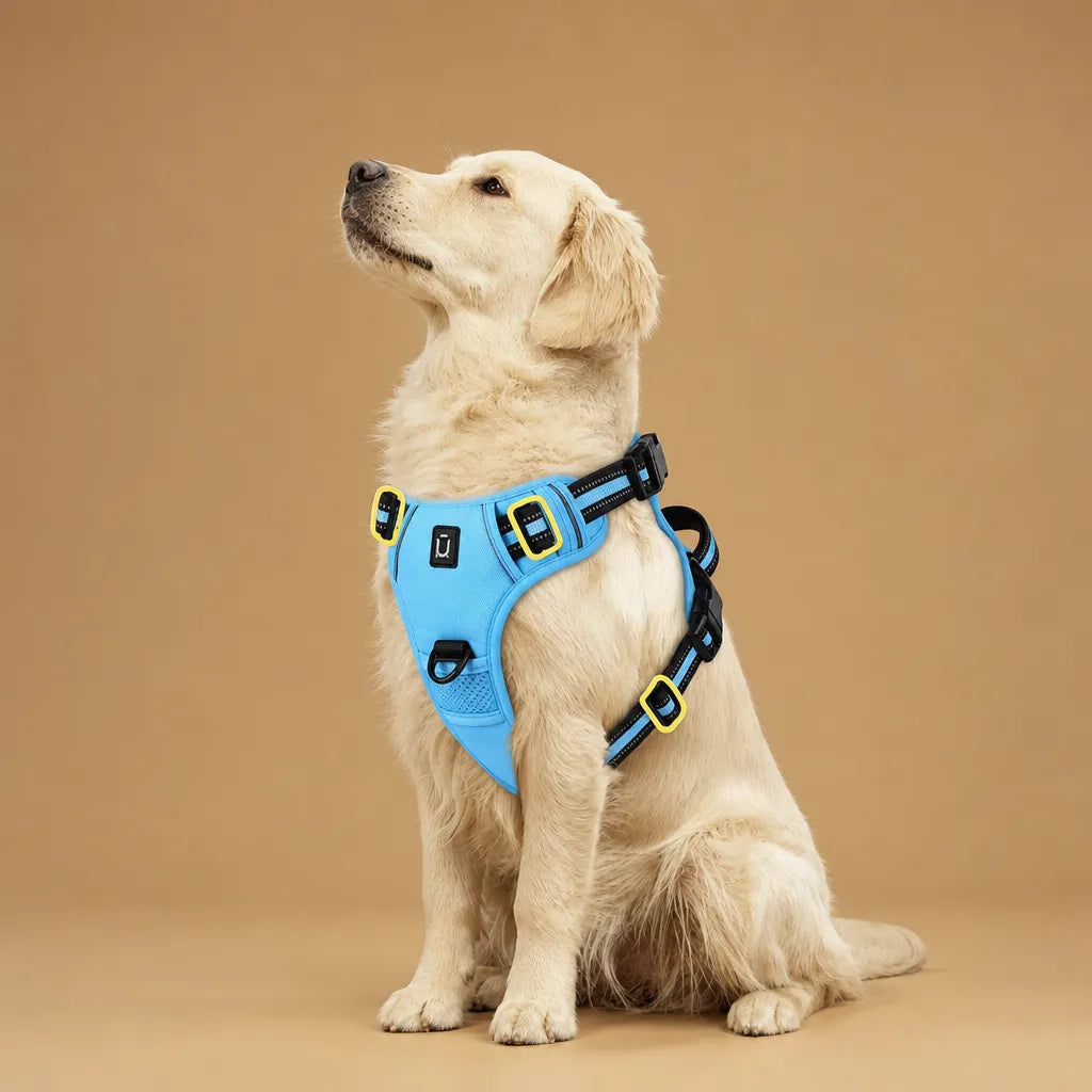 Harnais Chien Réfléchissant Rembourré - Double Attache