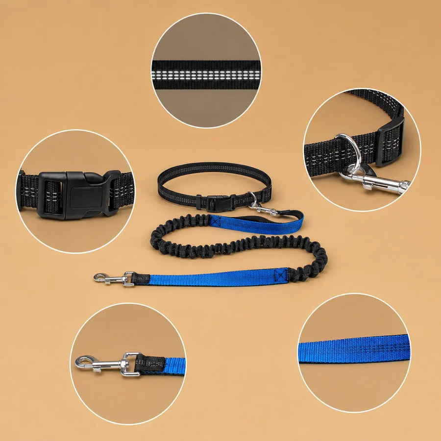 Laisse chien main libre - Ceinture réglable longe bungee