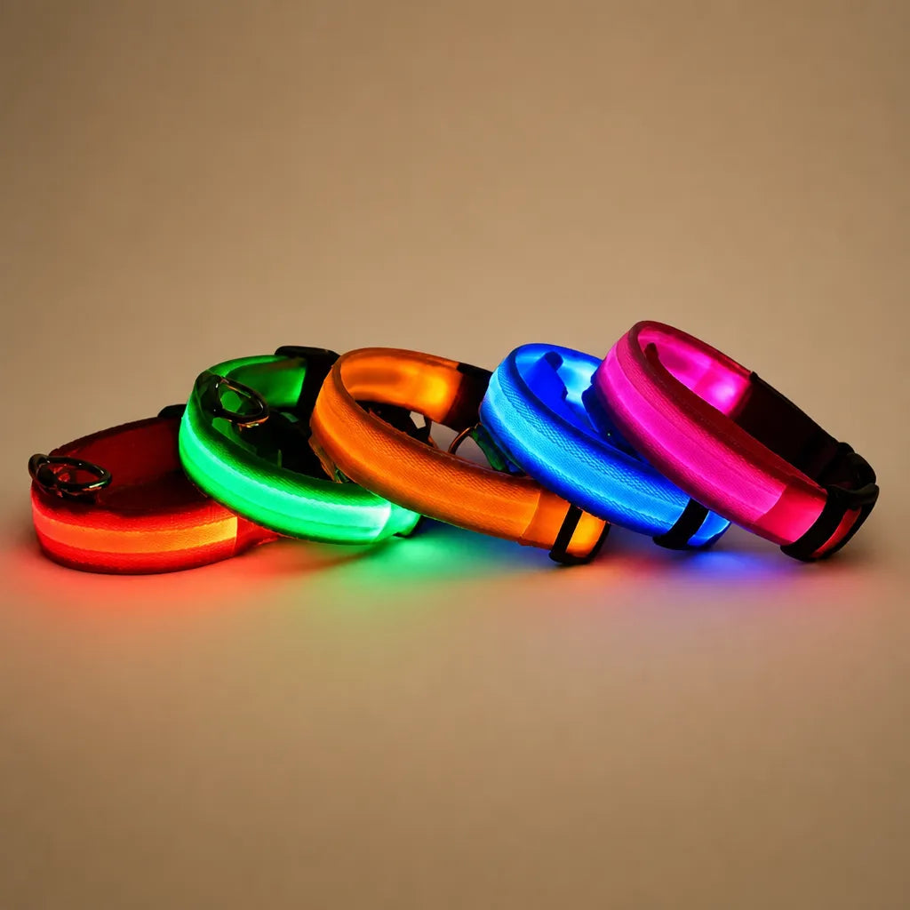 Collier chien lumineux - LED nylon 3 modes XS à XL