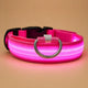 Collier chien lumineux - LED nylon 3 modes XS à XL
