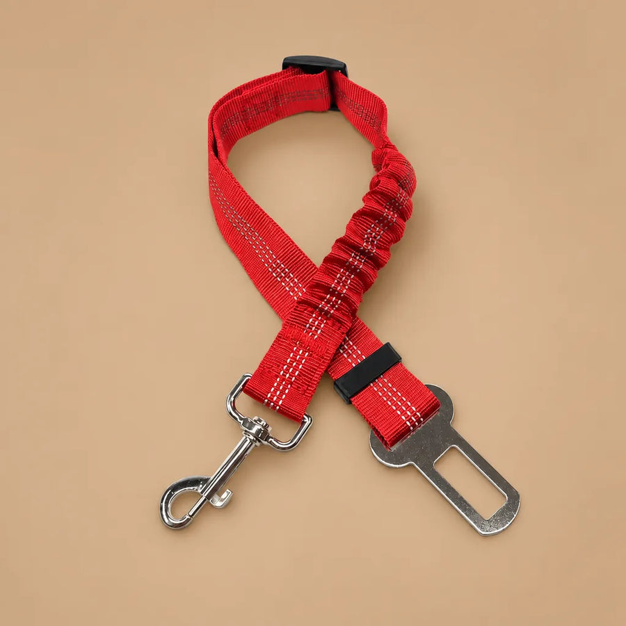 Ceinture de sécurité chien - Nylon réfléchissant réglable