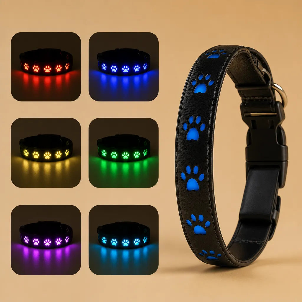 Collier lumineux pour chien - 7 modes LED USB 500 mètres