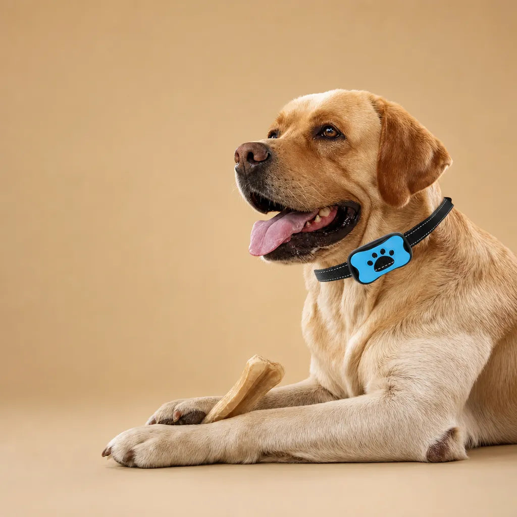 Collier anti aboiement pour chien - Son et vibration USB
