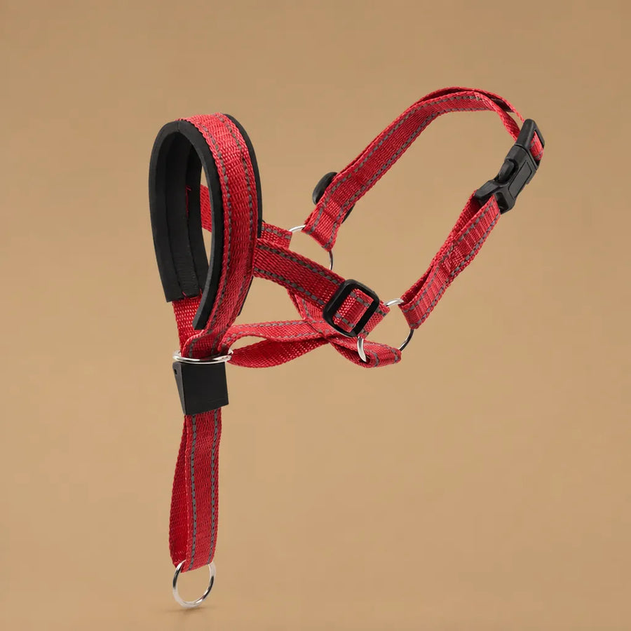 Muselière pour chien - Licol de tête nylon grandes races