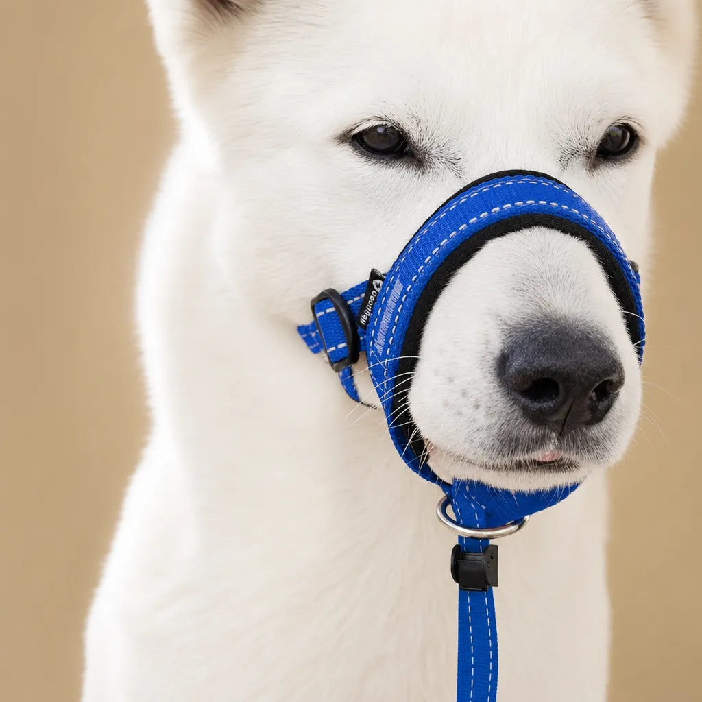 Muselière pour chien - Licol de tête nylon grandes races