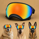 Lunette Protection Chien - Anti-UV & Anti-Choc