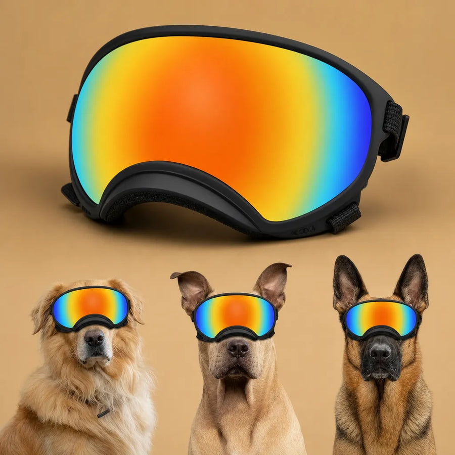 Lunette Protection Chien - Anti-UV & Anti-Choc