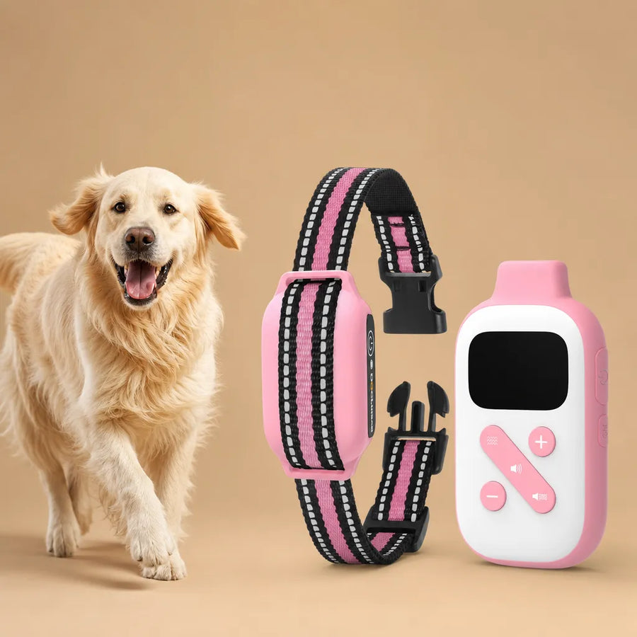 Collier de dressage pour chien sans choc - Télécommande 850m