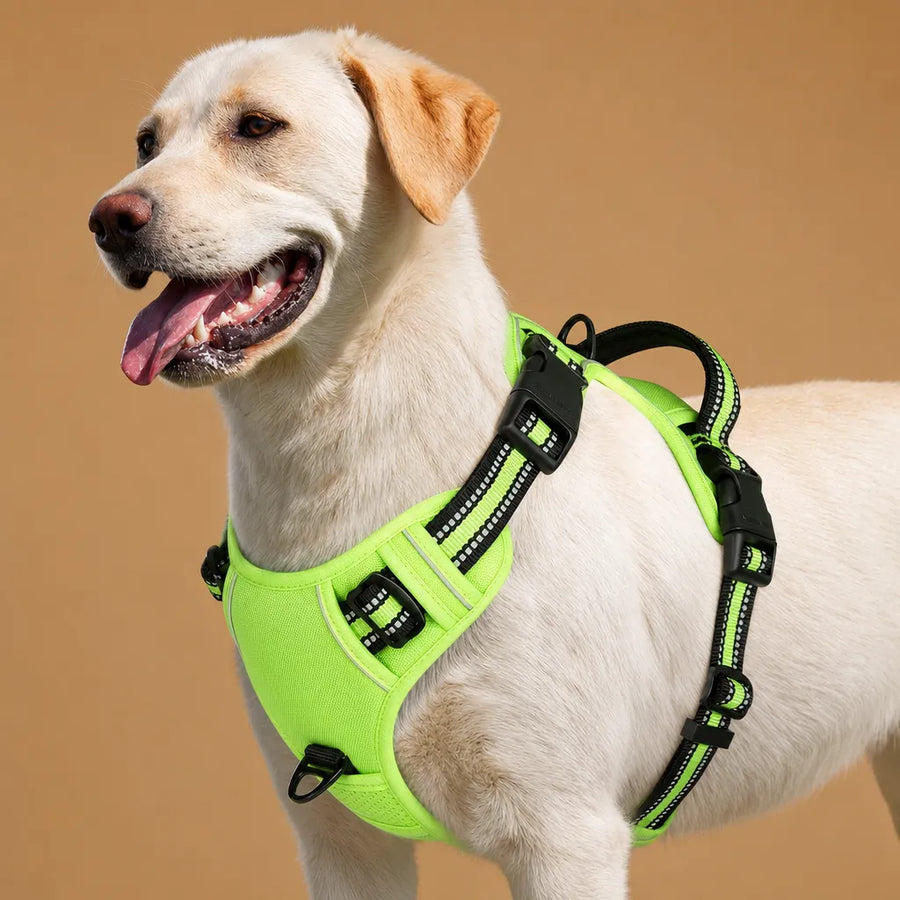 Harnais Chien Réfléchissant Rembourré - Double Attache