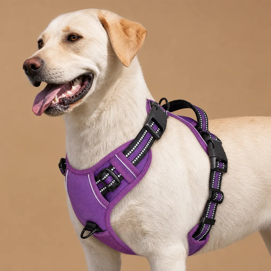 Harnais Chien Réfléchissant Rembourré - Double Attache