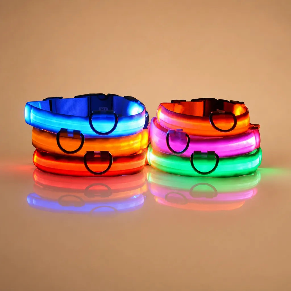 Collier chien lumineux - LED nylon 3 modes XS à XL
