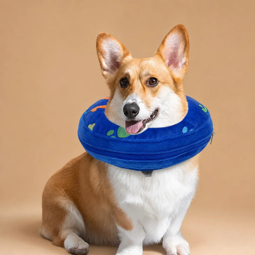 Collerette donut chien gonflable - Alternative douce au cône