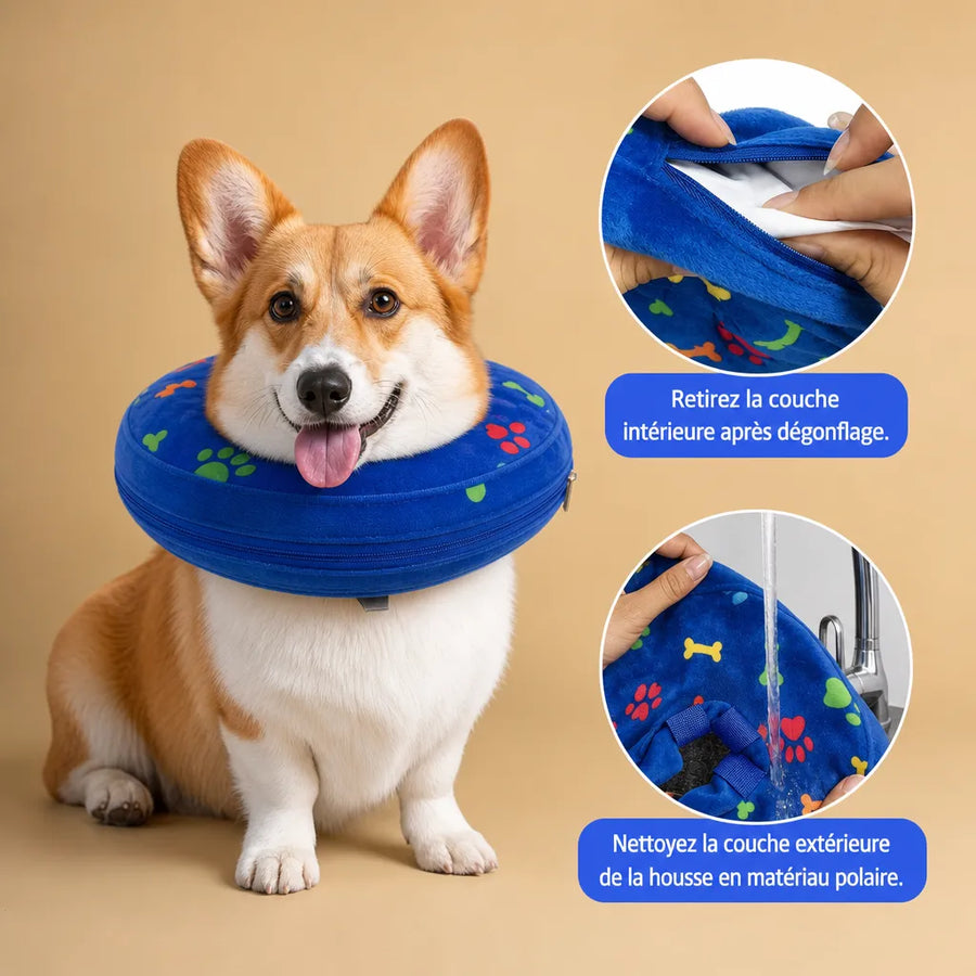 Collerette donut chien gonflable - Alternative douce au cône