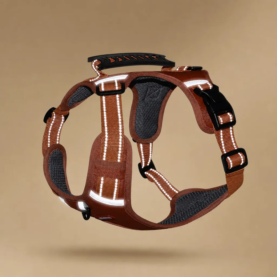 Harnais réglable chien - Anti traction réfléchissant XS au XL