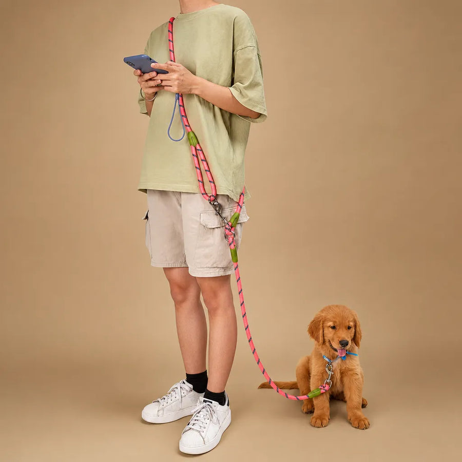 Laisse pour chien mains libres réfléchissante - Nylon