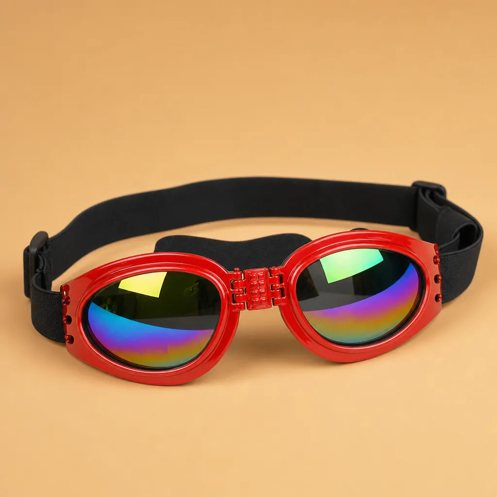 Lunette de soleil pour chien pliable - Double sangle 6 coloris