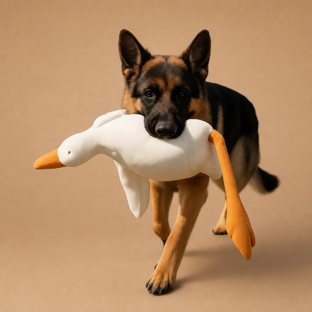 Jouet canard pour chien - Peluche douce et résistante à mâchouiller