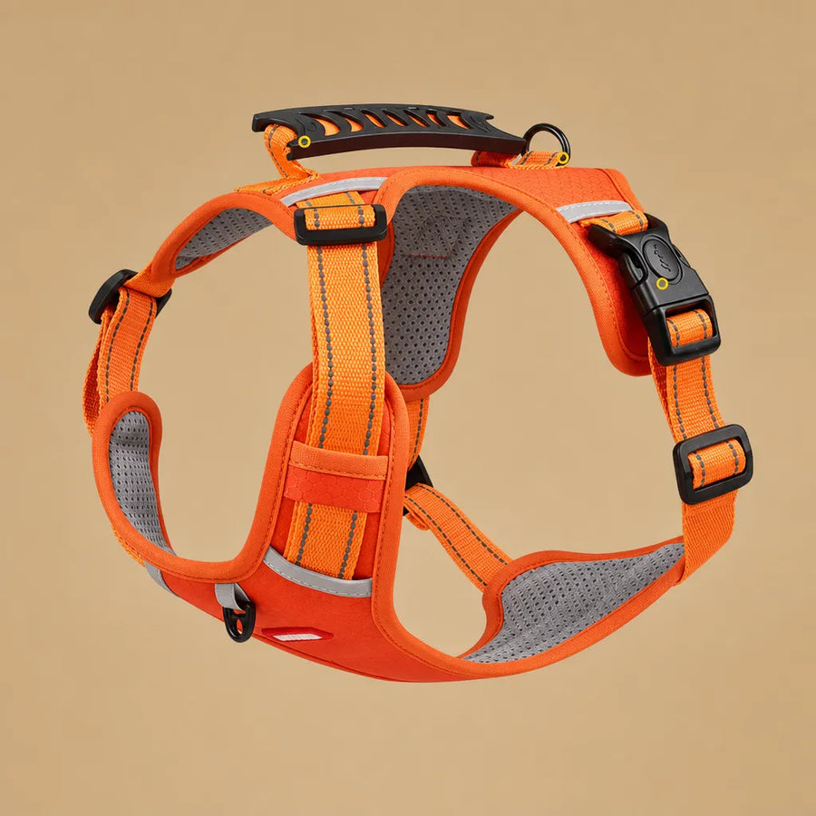 Harnais réglable chien - Anti traction réfléchissant XS au XL
