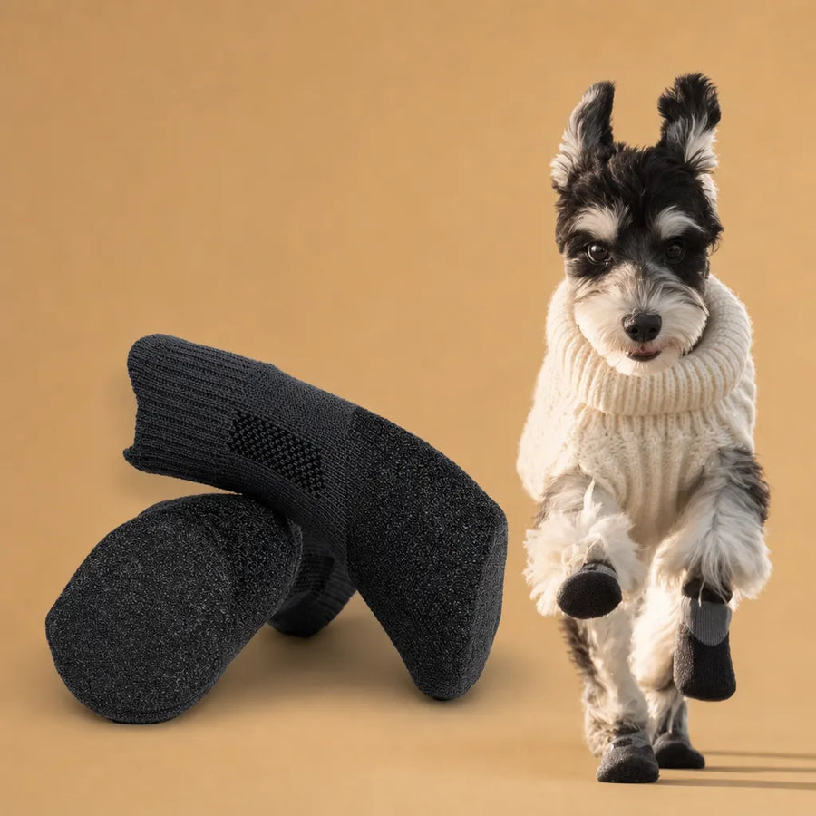 Chaussures pour chien neige - Bottes thermiques hiver