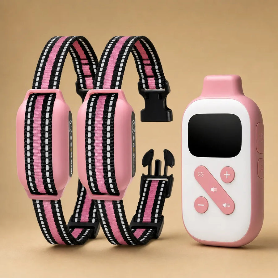 Collier de dressage pour chien sans choc - Télécommande 850m