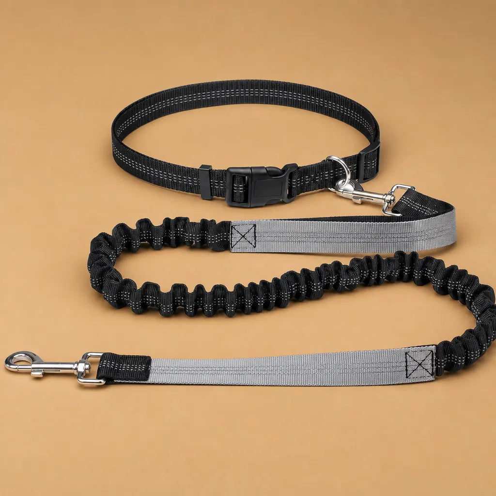 Laisse chien main libre - Ceinture réglable longe bungee