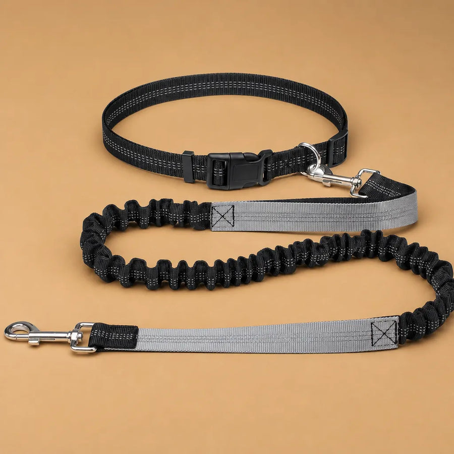 Laisse chien main libre - Ceinture réglable longe bungee