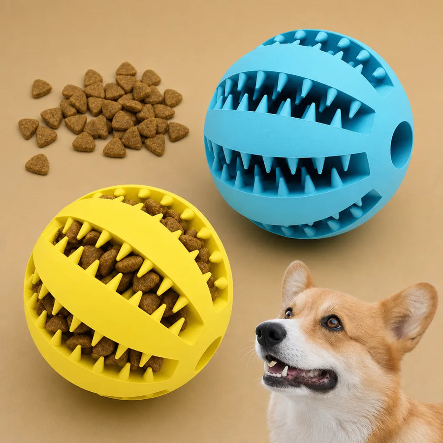 Balle kong chien caoutchouc - Picots distributeur friandises 5 cm