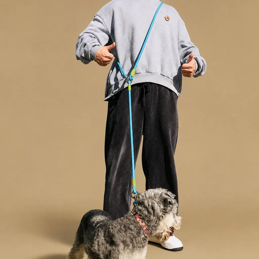 Laisse pour chien mains libres réfléchissante - Nylon