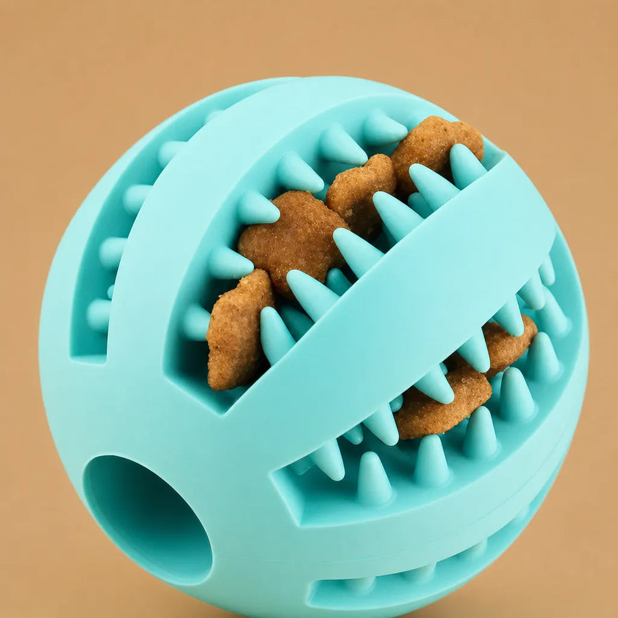 Balle kong chien caoutchouc - Picots distributeur friandises 5 cm