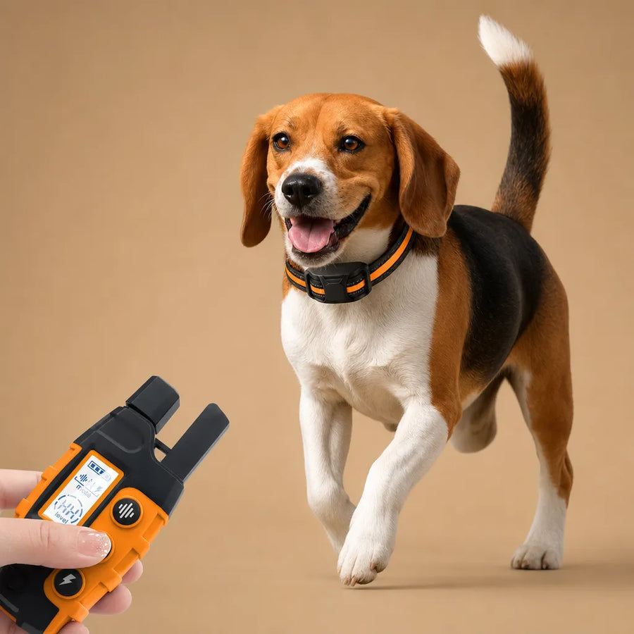Collier dressage électrique chien - Télécommande 1100m IP67