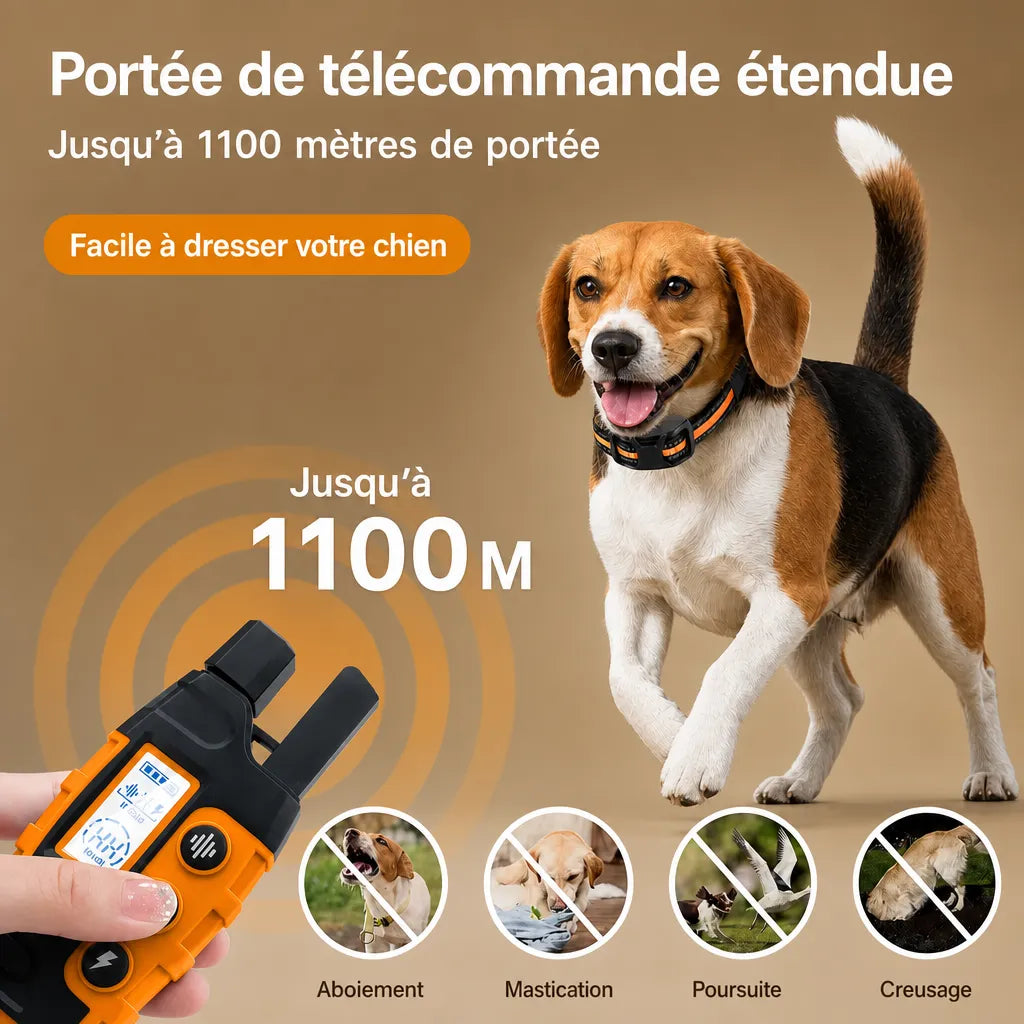 Collier dressage électrique chien - Télécommande 1100m IP67