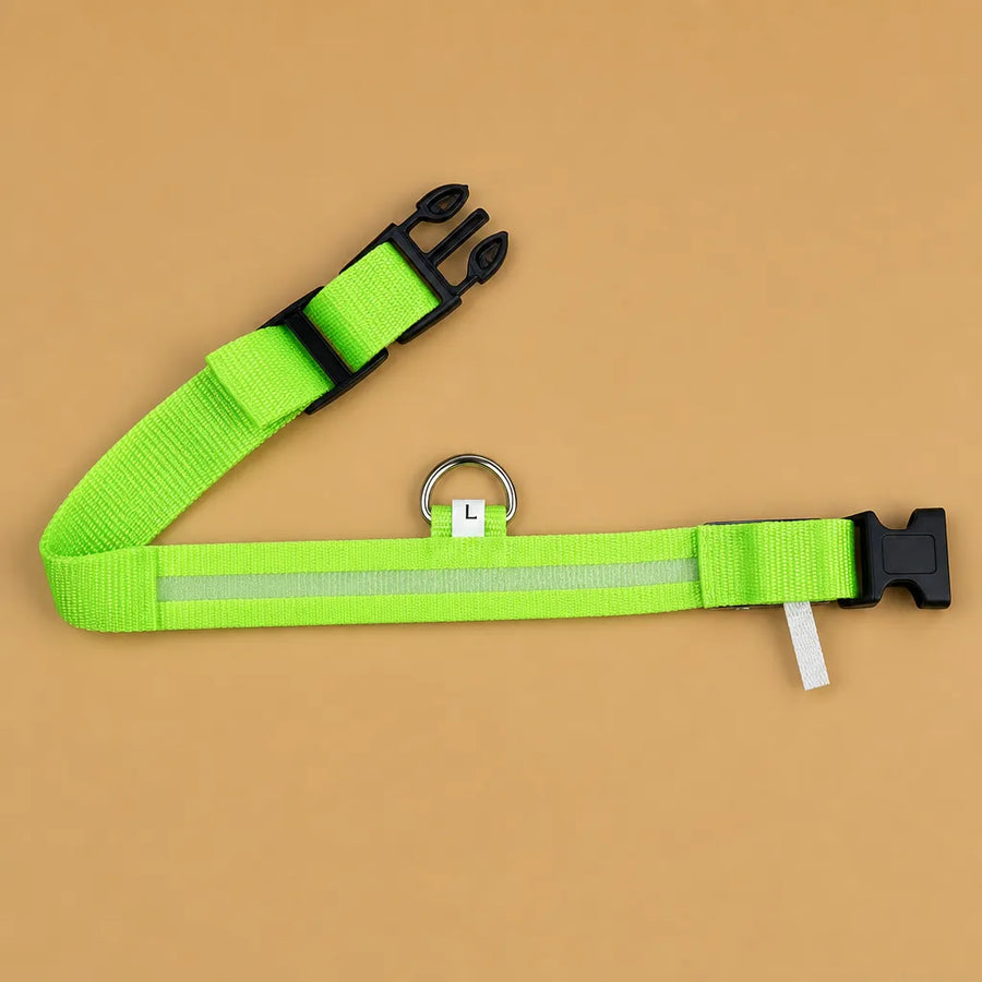 Collier chien lumineux - LED nylon 3 modes XS à XL