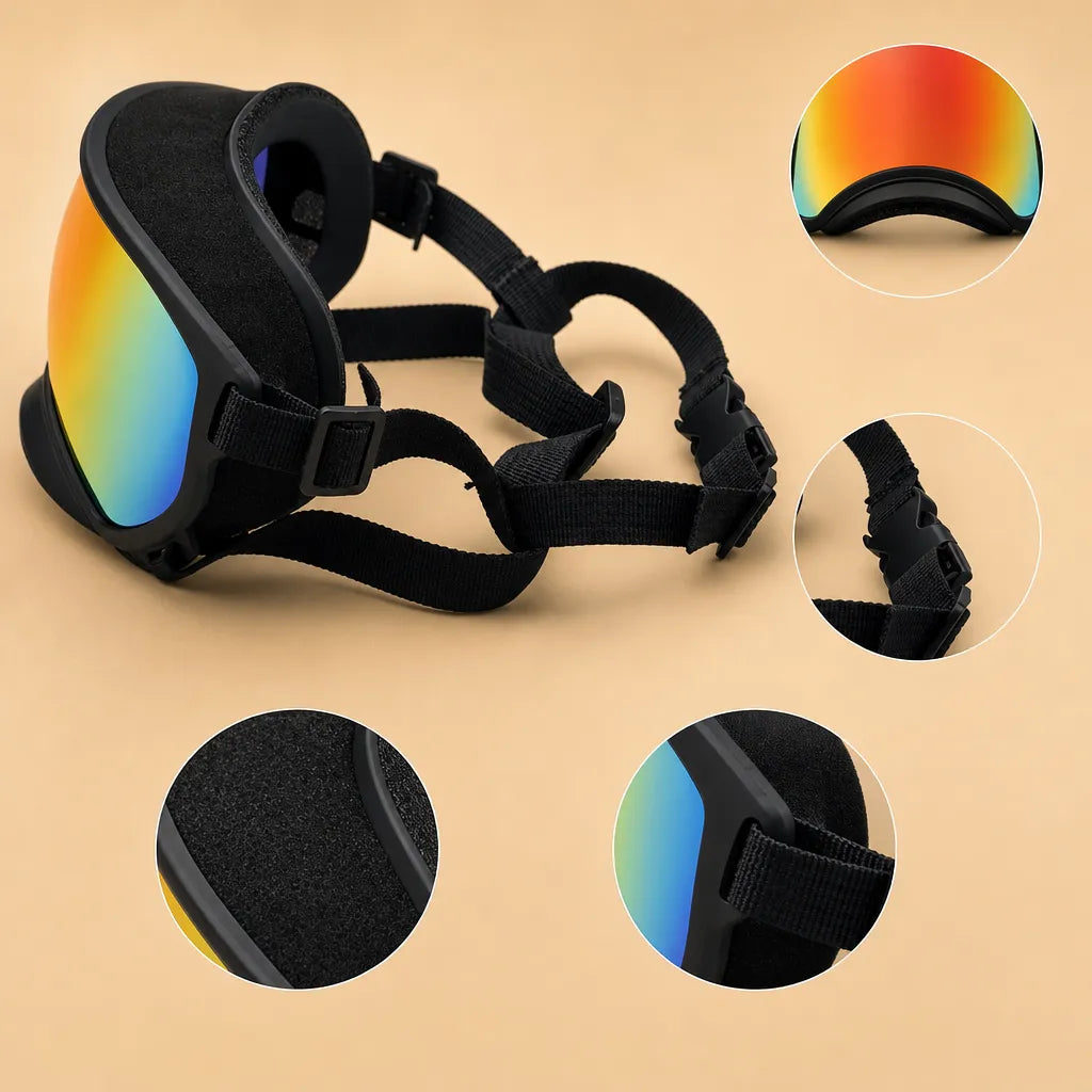 Lunette Protection Chien - Anti-UV & Anti-Choc