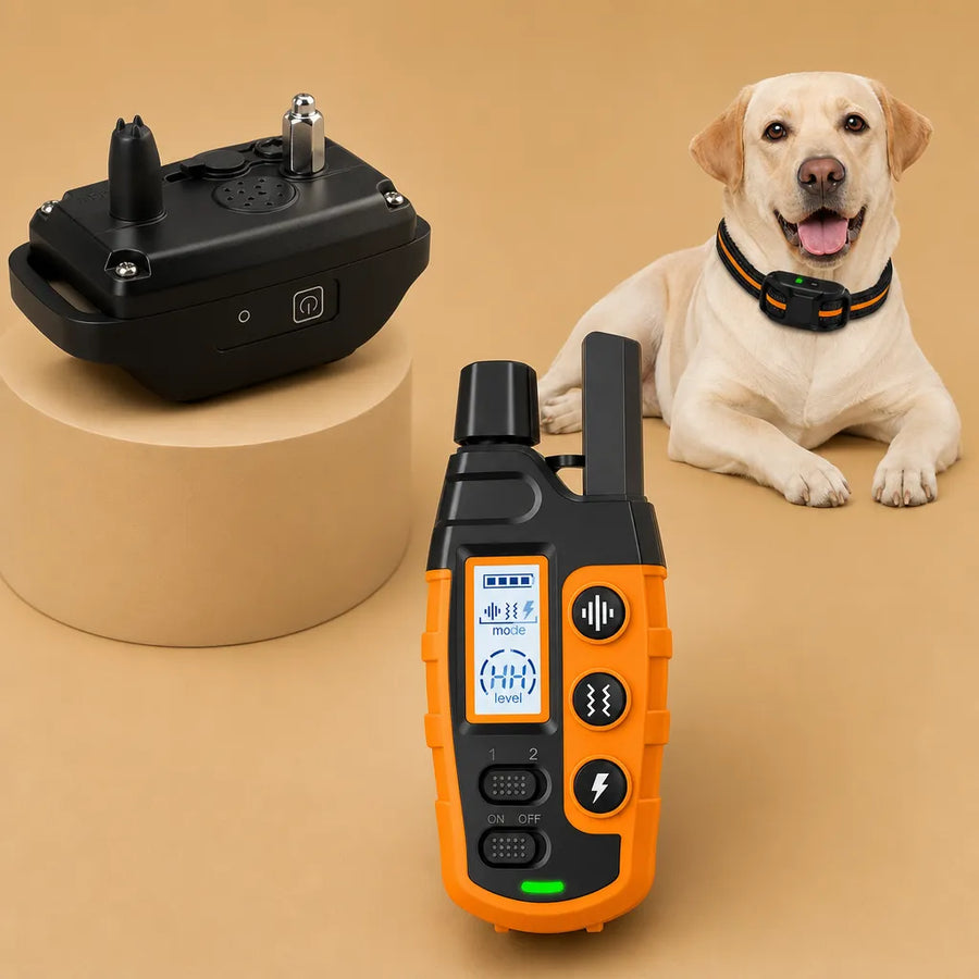 Collier dressage électrique chien - Télécommande 1100m IP67