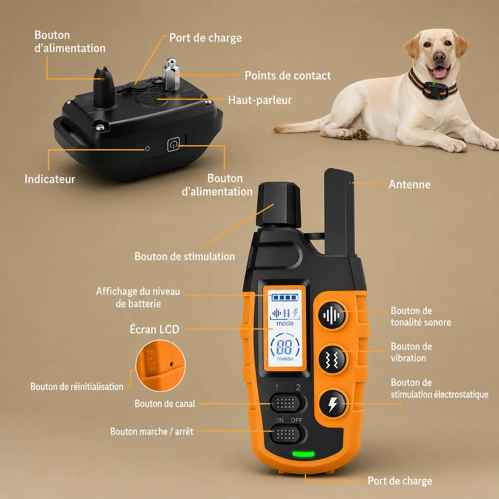 Collier dressage électrique chien - Télécommande 1100m IP67