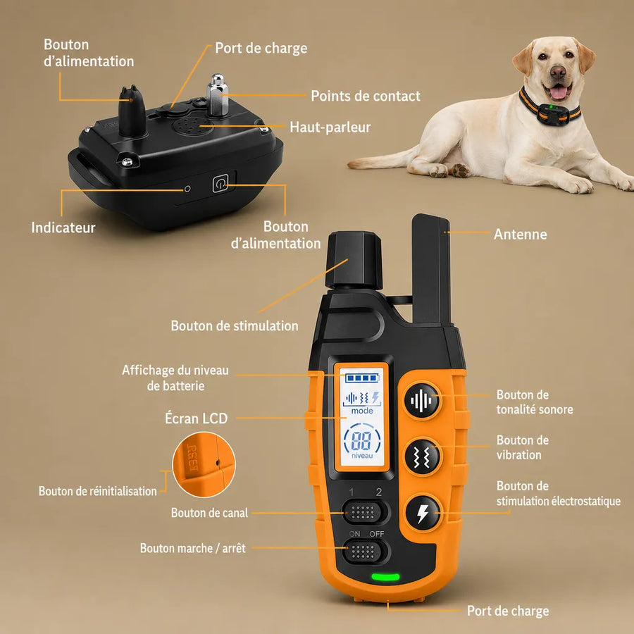 Collier dressage électrique chien - Télécommande 1100m IP67