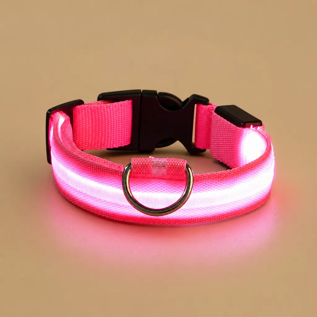 Collier chien lumineux - LED nylon 3 modes XS à XL