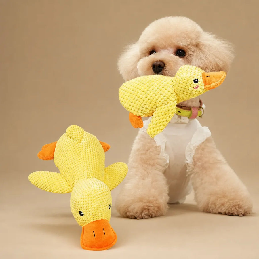 Jouet canard chien sonore - Peluche velours 3 tailles résistante