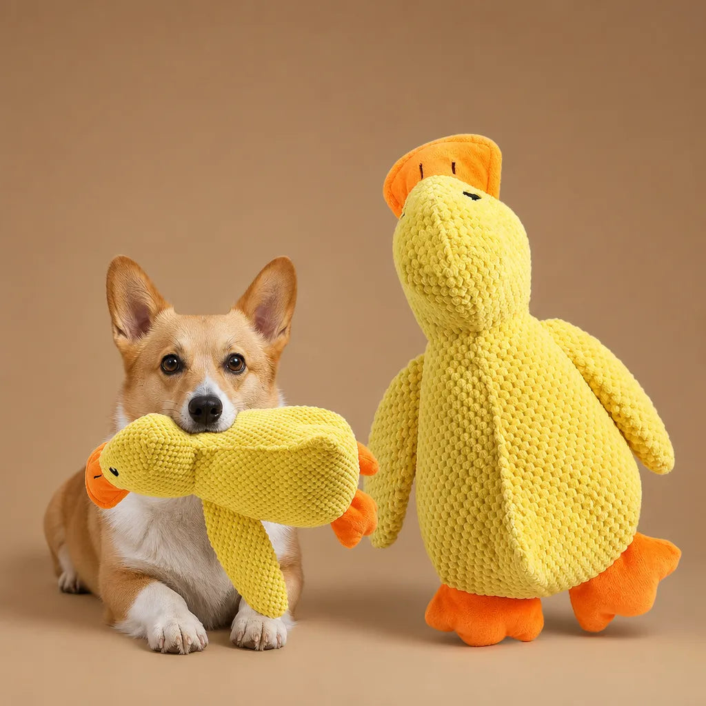Jouet canard chien sonore - Peluche velours 3 tailles résistante