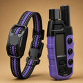 Violet / 1 chien