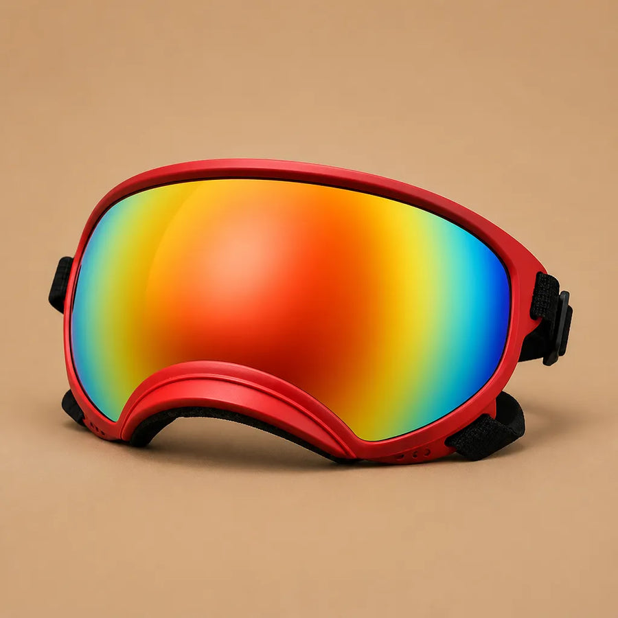 Lunette Protection Chien - Anti-UV & Anti-Choc